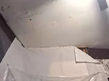 analinspect live cam