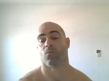 beermanpig live cam