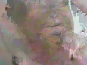 beezobb live cam