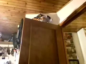 Bernichaos77 preview