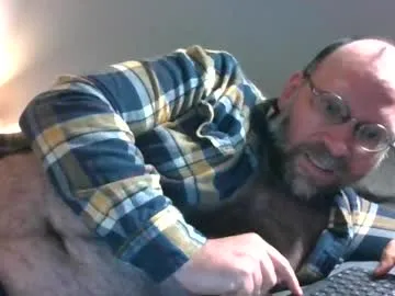 Bigbearfromwilderness live cam preview