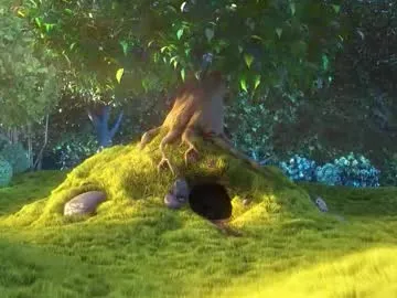 Browser_test_05 live cam preview