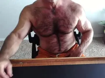 bullbud live cam