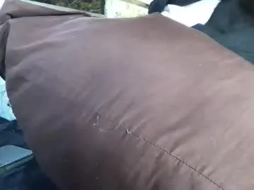 capwheels live cam