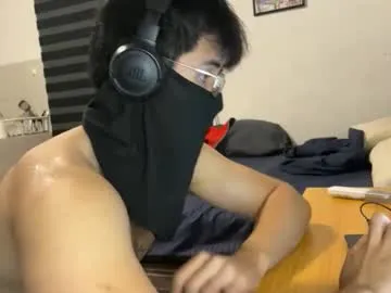 Chicodelauni preview