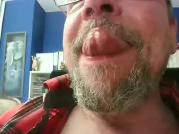 circus_bear live cam