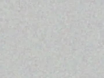Danteyluz profile pic
