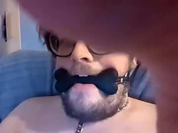 Dirtydogsday live cam preview