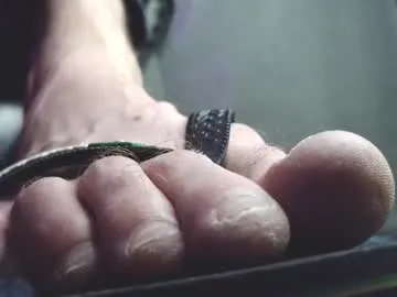 fredthetom12 live cam preview