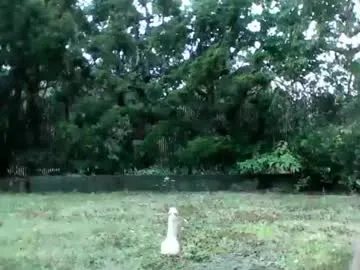 Handysmurf live cam preview
