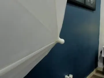 houston__bull live cam