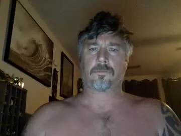 jackhammerhead live cam