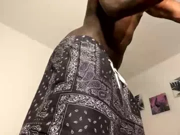 janstallionx live cam
