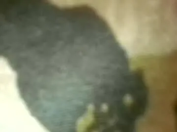 Jaycockswell profile pic