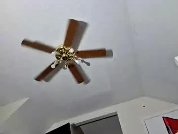 Jaywild12 live cam preview