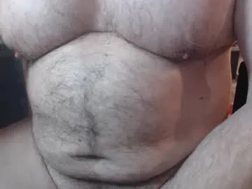 jimbeefbear live cam