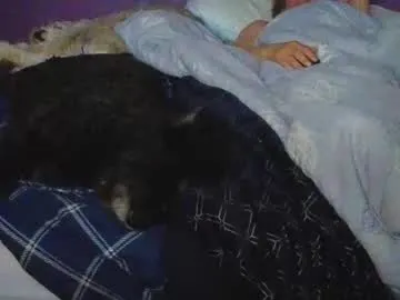 leo_2_ live cam