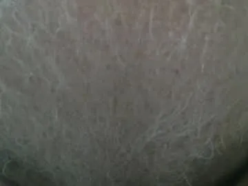 littletom69416498 live cam preview