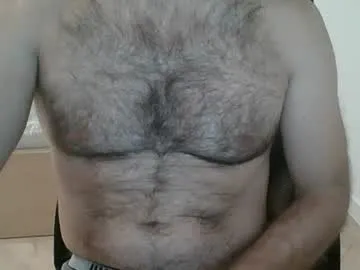 Lostimidos profile pic
