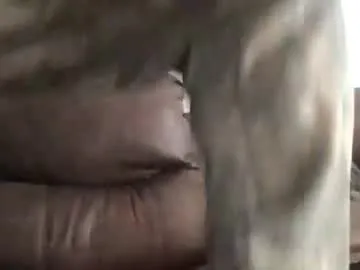 Mikeyzimmerman live cam preview