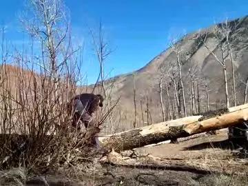 nakedcabinlife live cam