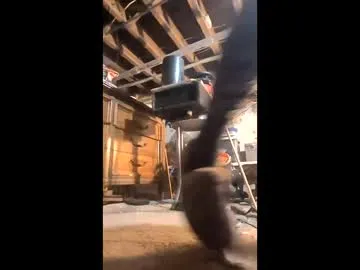 paint_naked live cam