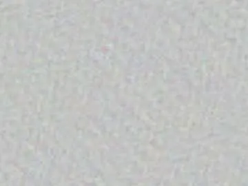 Rolocams profile pic