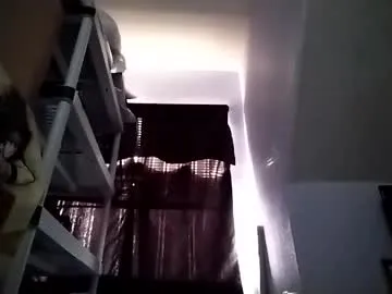 sil15nissan live cam preview