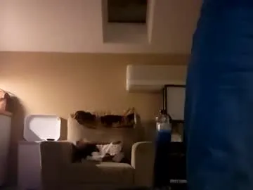 Ssstraycatfun1 live cam preview