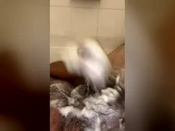 starlordrize live cam