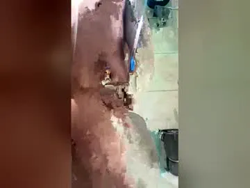 the_alpha_male501 live cam