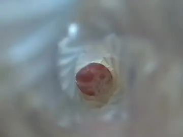 Thefleshlight profile pic