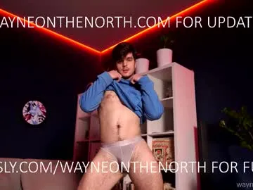 Waynenorth live cam preview