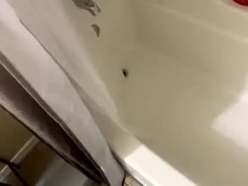 yagishirafe live cam