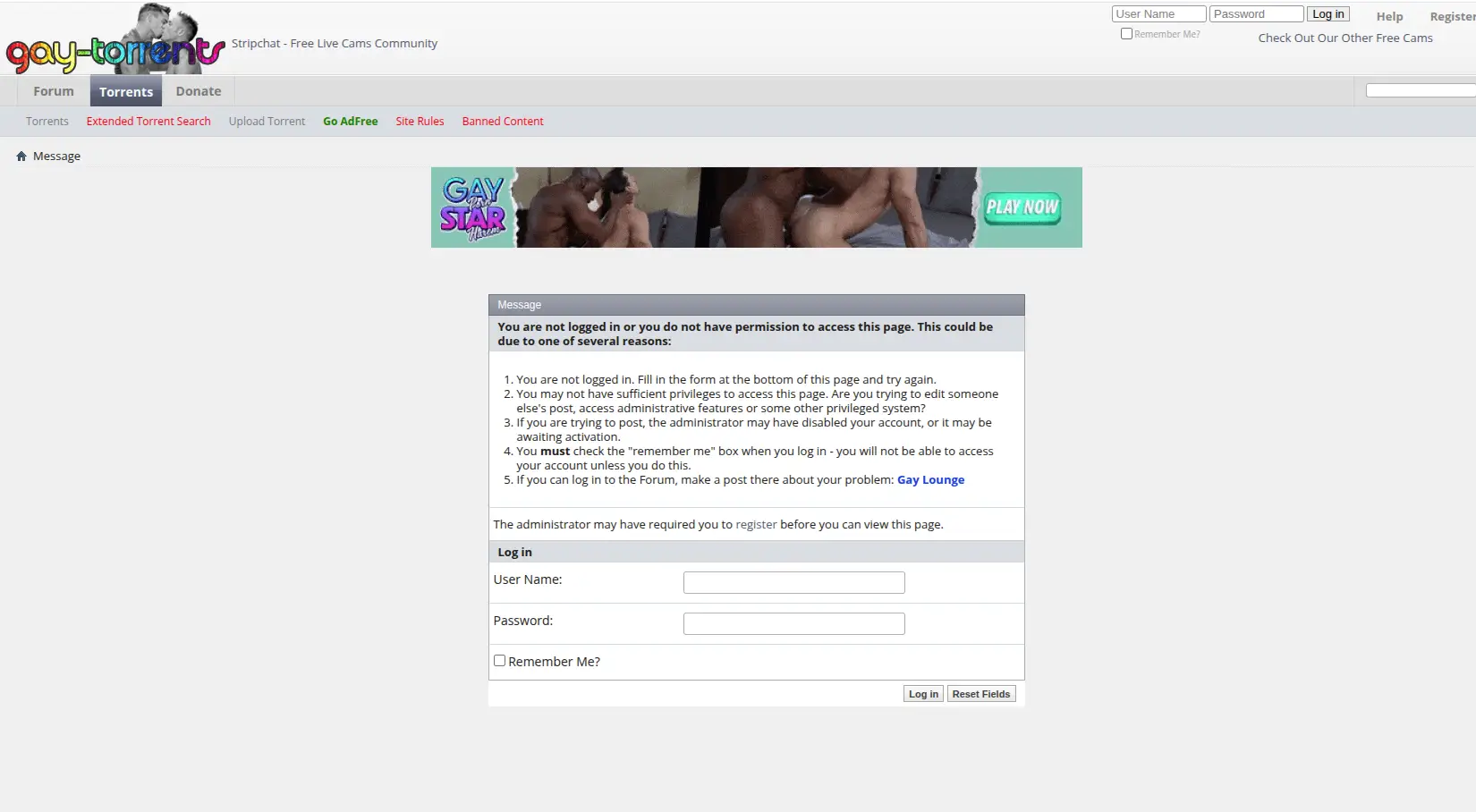 Gay-Torrents.net review